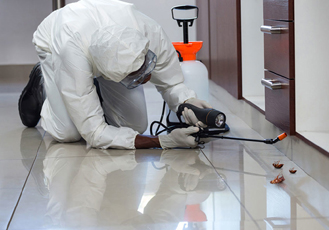 SS Deep Cleaning Services +91 7629042809